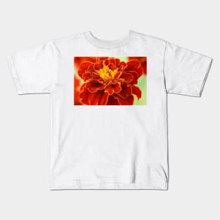 Tagetes patula  &#39;Red Cherry&#39;  French marigold Kids T-Shirt